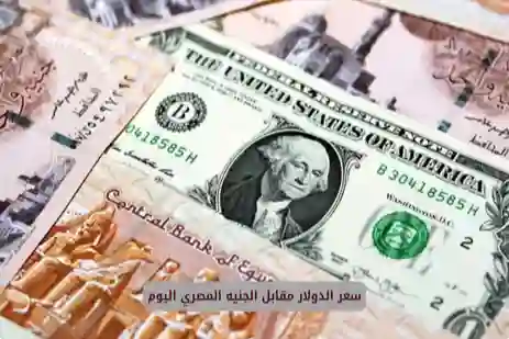 الجنيه المصري يصل لسعر جديد أمام الدولار الأمريكي والريال السعودي 