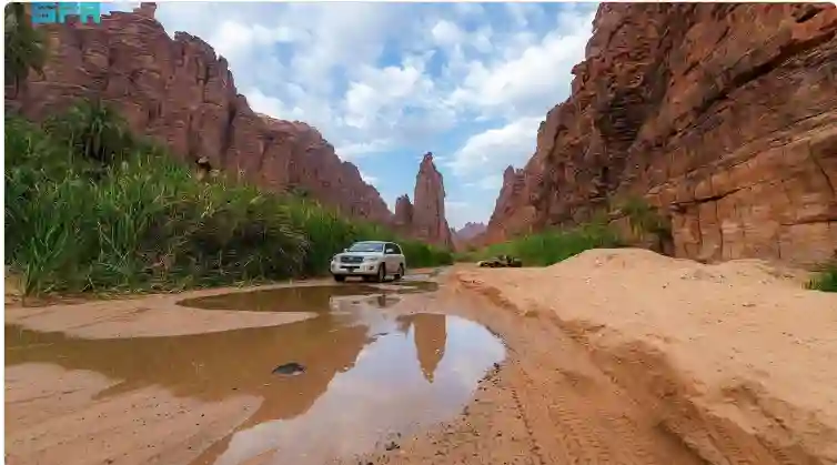 مشاهد ساحرة للقلوب والعقول من شواطئ تبوك 