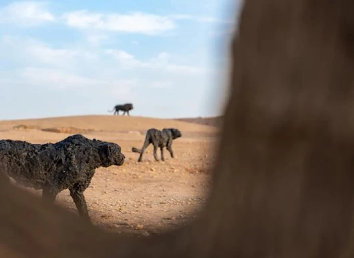 صور تُنشر لأول مرة تكشف كيف تغير حي السفارات في الرياض